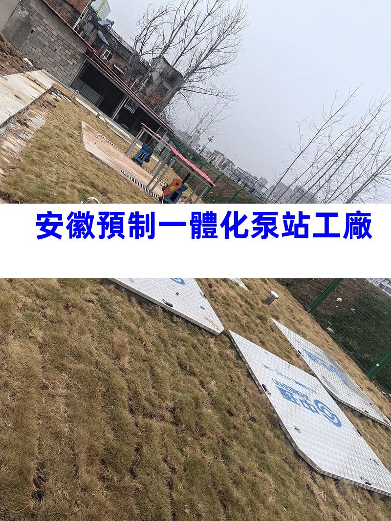 安徽預制一體化泵站工廠