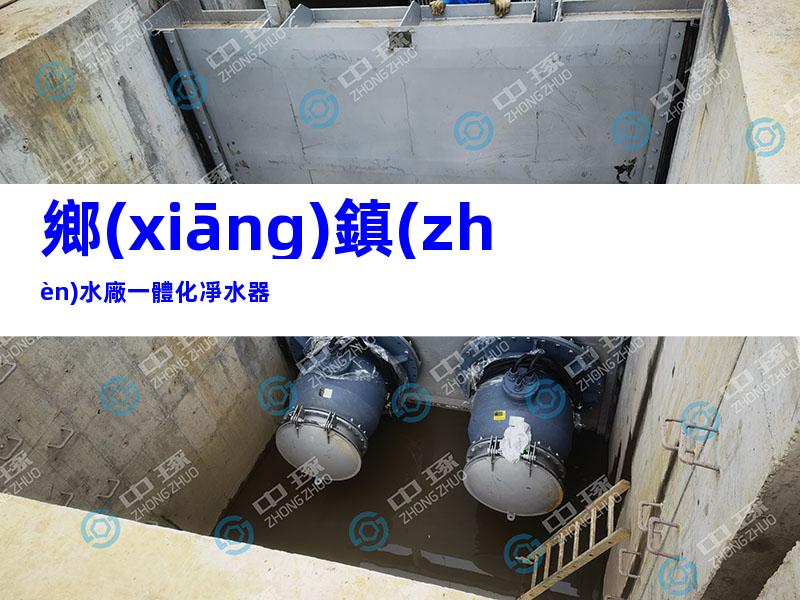 鄉(xiāng)鎮(zhèn)水廠一體化凈水器